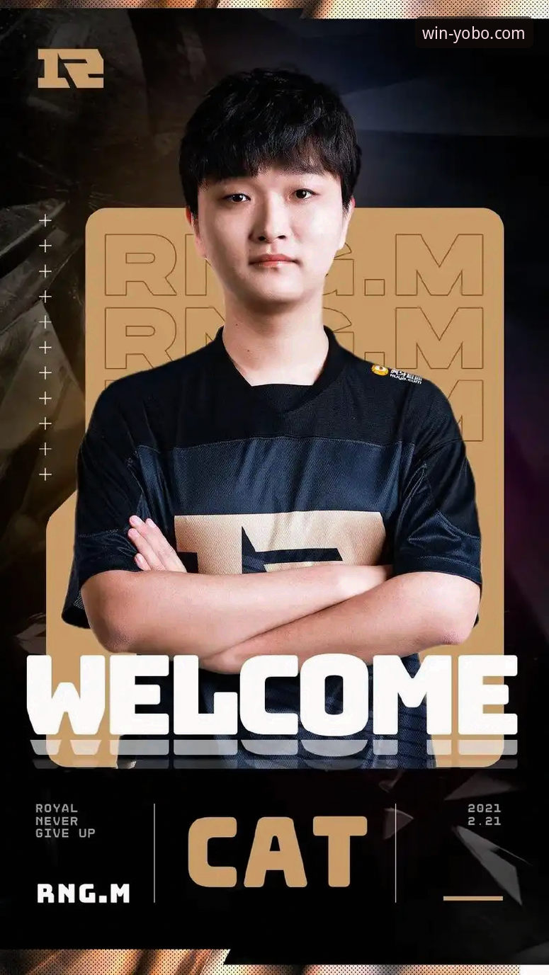 手机yobo体育app官网 vs 传统网页端：电竞直播体验的全面对比